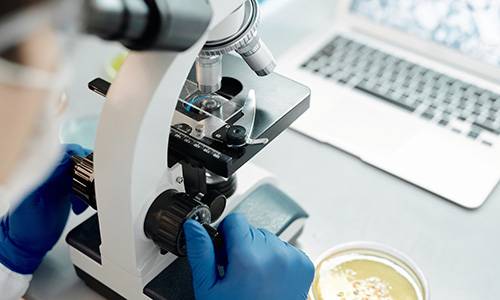BioEnergetic Testing